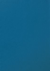 RENOLIT EXOFOL PX BRILLANTBLAU 5007 